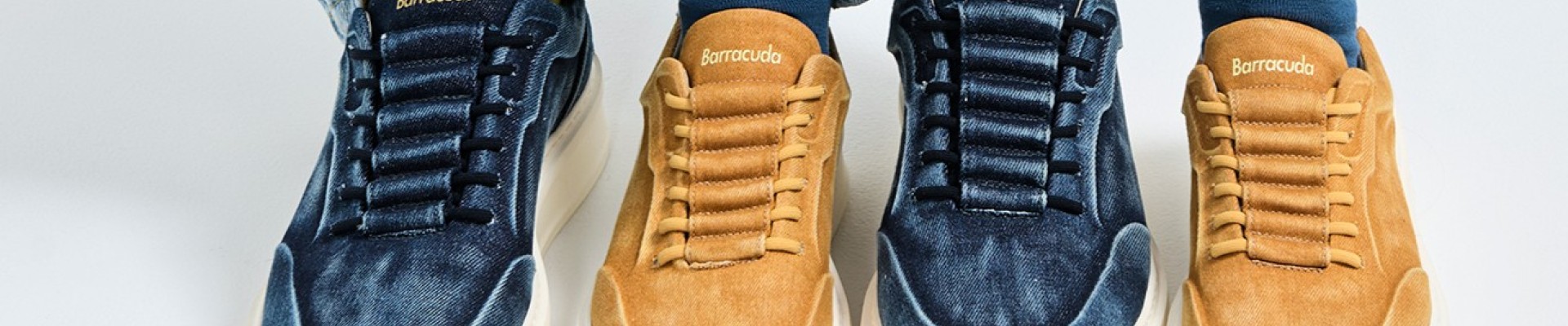 Barracuda