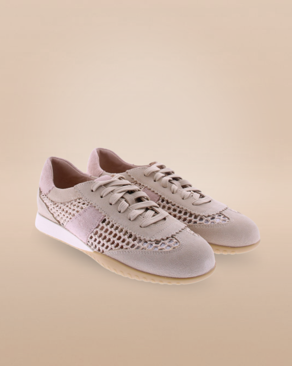 Impression photo for Rapid Soul