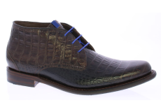 Floris van Bommel 10634 08