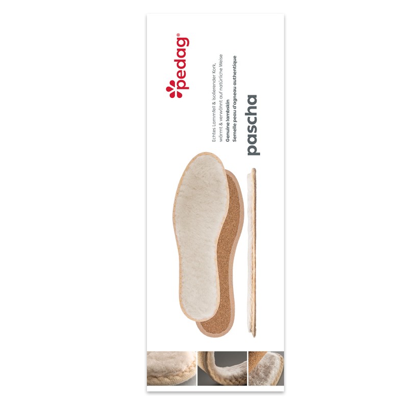  3130000 Pedag Pascha