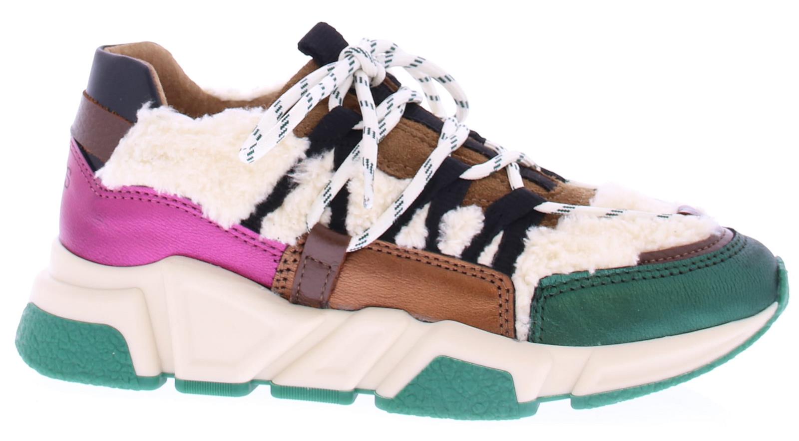 DWRS Los Angeles Teddy