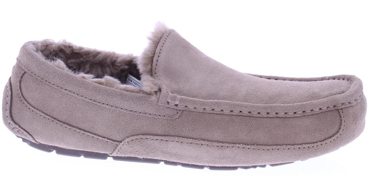 UGG Ascot Crbo House slippers size 48-5 | Klijsen Schoenmode