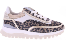 Floris van Bommel Sfw-10131-34-01