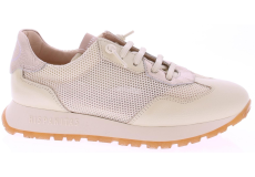 Hispanitas Kansas Chv253869