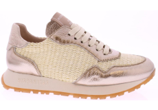 Hispanitas Kansas Rhv254045