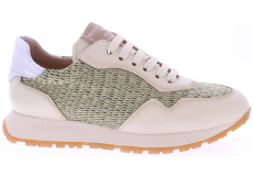 Hispanitas Kansas Rhv254045