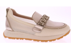 Hispanitas Kansas Hv253948