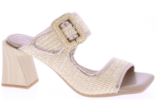 Hispanitas Miami Rhv254048