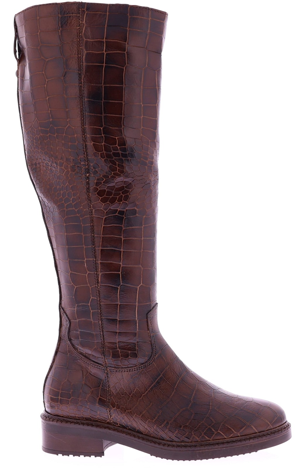 Gioia 1047-007